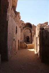 by kiwiaoraki, Views[160]