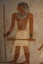 by kiwiaoraki, Views[137]