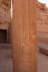 by kiwiaoraki, Views[46]