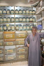 by kiwiaoraki, Views[69]