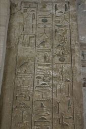 by kiwiaoraki, Views[73]