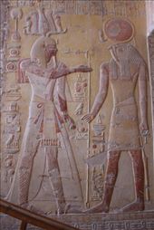 by kiwiaoraki, Views[69]