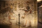 by kiwiaoraki, Views[98]