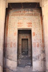 by kiwiaoraki, Views[82]