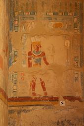 by kiwiaoraki, Views[69]