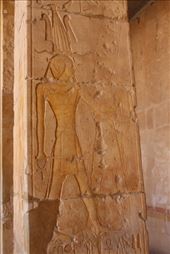 by kiwiaoraki, Views[77]