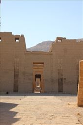 by kiwiaoraki, Views[58]