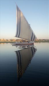 by kiwiaoraki, Views[110]