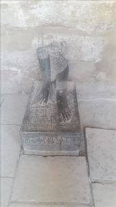 by kiwiaoraki, Views[93]