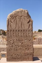 by kiwiaoraki, Views[168]