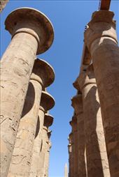 by kiwiaoraki, Views[85]