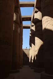 by kiwiaoraki, Views[69]