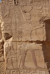 by kiwiaoraki, Views[77]