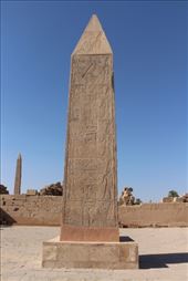 by kiwiaoraki, Views[77]