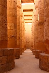 by kiwiaoraki, Views[78]