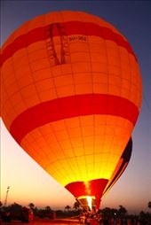 by kiwiaoraki, Views[65]