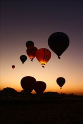 by kiwiaoraki, Views[64]