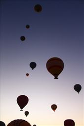 by kiwiaoraki, Views[66]