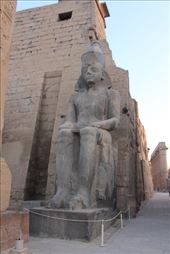 by kiwiaoraki, Views[64]