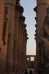 by kiwiaoraki, Views[73]