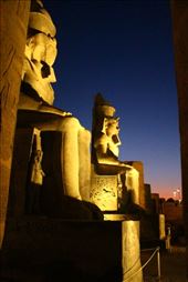 by kiwiaoraki, Views[83]