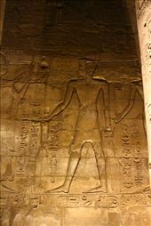 by kiwiaoraki, Views[62]