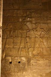 by kiwiaoraki, Views[62]