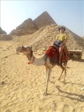 by kiwiaoraki, Views[76]