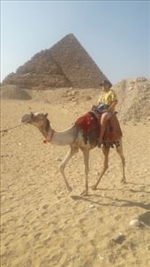 by kiwiaoraki, Views[81]