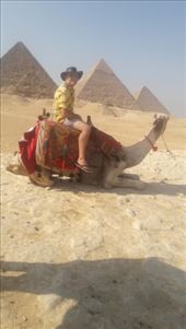 by kiwiaoraki, Views[88]