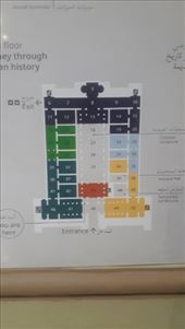 by kiwiaoraki, Views[288]