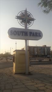 by kiwiaoraki, Views[293]