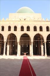 by kiwiaoraki, Views[64]