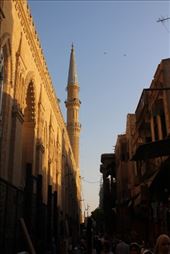 by kiwiaoraki, Views[88]