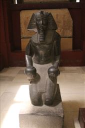 by kiwiaoraki, Views[63]