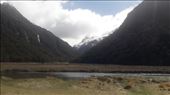 by kiwiaoraki, Views[100]