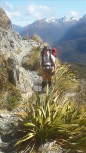 by kiwiaoraki, Views[64]