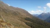 by kiwiaoraki, Views[102]