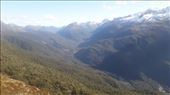 by kiwiaoraki, Views[93]
