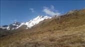 by kiwiaoraki, Views[90]