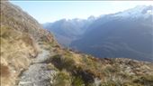 by kiwiaoraki, Views[61]