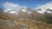 by kiwiaoraki, Views[118]