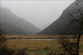 by kiwiaoraki, Views[157]
