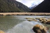 by kiwiaoraki, Views[210]