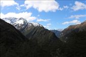 by kiwiaoraki, Views[230]