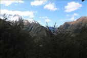 by kiwiaoraki, Views[186]