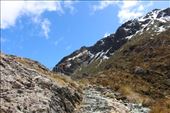 by kiwiaoraki, Views[176]