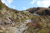 by kiwiaoraki, Views[96]