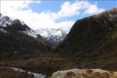 by kiwiaoraki, Views[95]