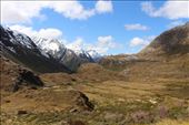 by kiwiaoraki, Views[62]